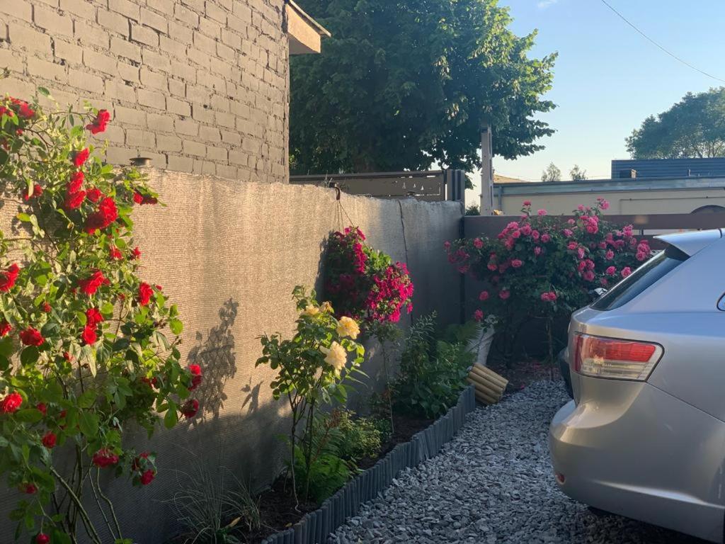 Pokoje U Camili Rewa Exterior foto